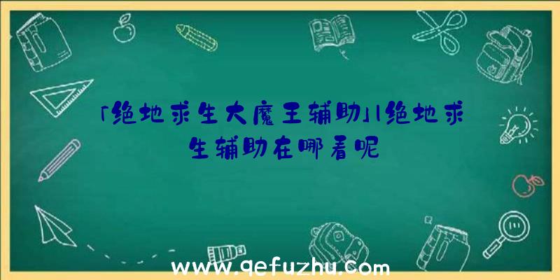 「绝地求生大魔王辅助」|绝地求生辅助在哪看呢